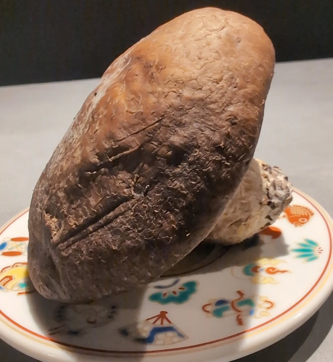 でっっかい椎茸🍄‍🟫